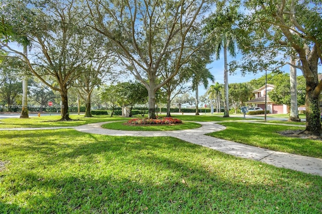 view of community featuring a yard