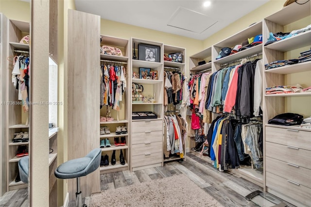 18330 NW 91st Ct Unit 18330, Hialeah, FL 33018 - spacious closet with attic access and wood finished floors