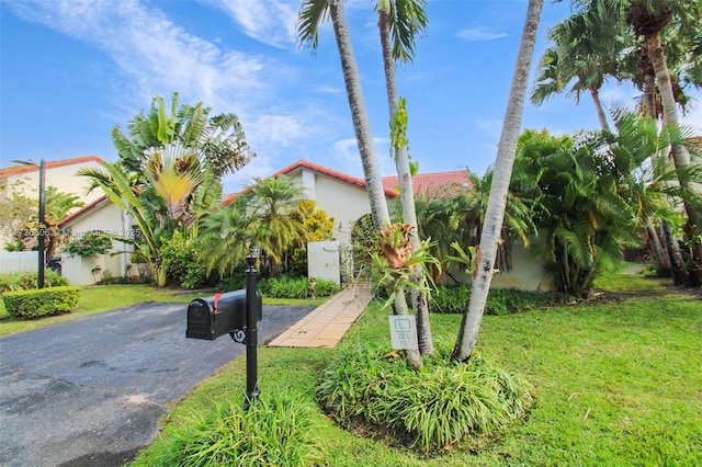 view of front facade with a front yard