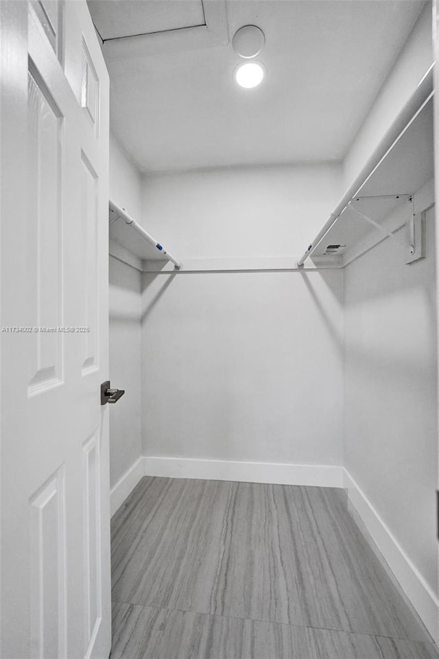 view of spacious closet