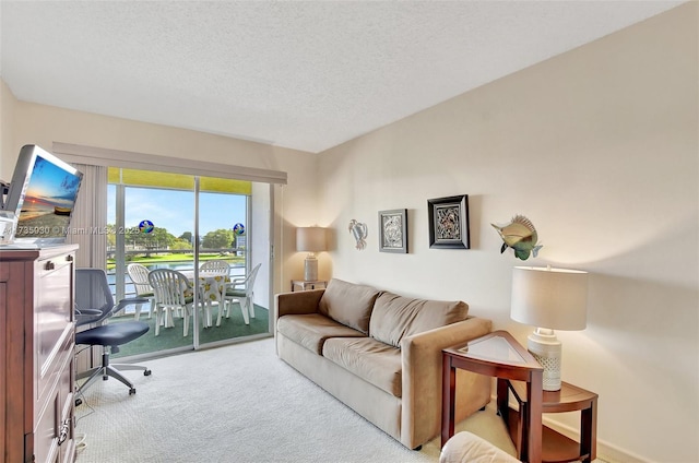 carpeted living room with a textured ceiling