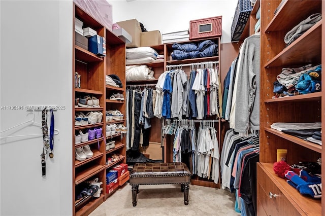 view of spacious closet