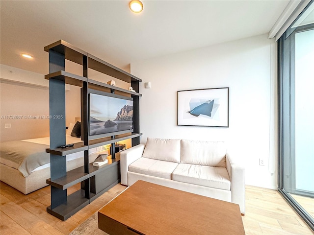 living room with light hardwood / wood-style floors