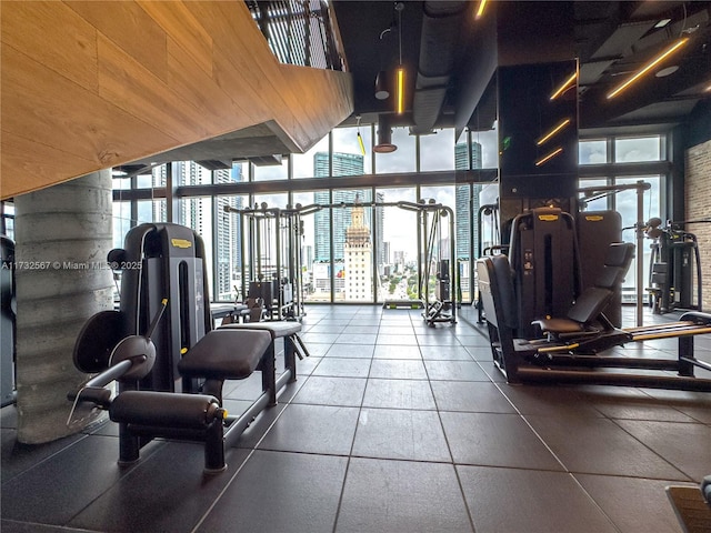 workout area featuring plenty of natural light and floor to ceiling windows