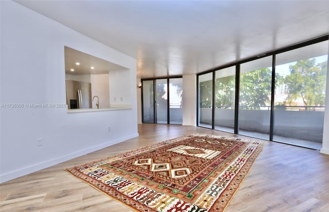 spare room featuring expansive windows, wood finished floors, a wealth of natural light, and baseboards