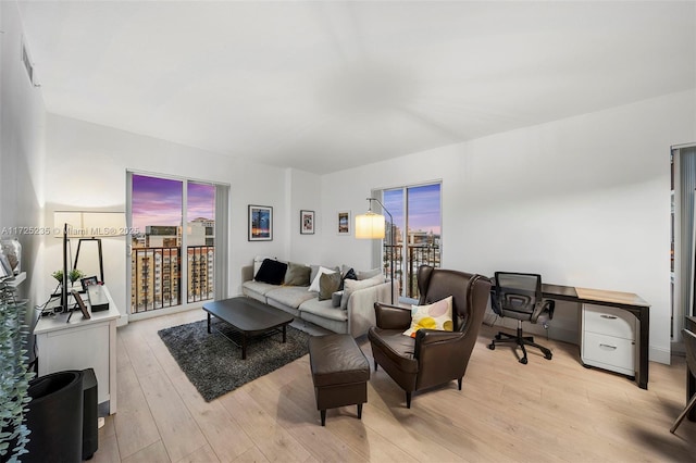 living room featuring plenty of natural light and light hardwood / wood-style floors