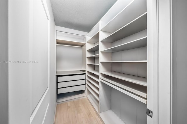 walk in closet with light wood-type flooring