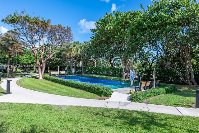 view of swimming pool featuring a yard