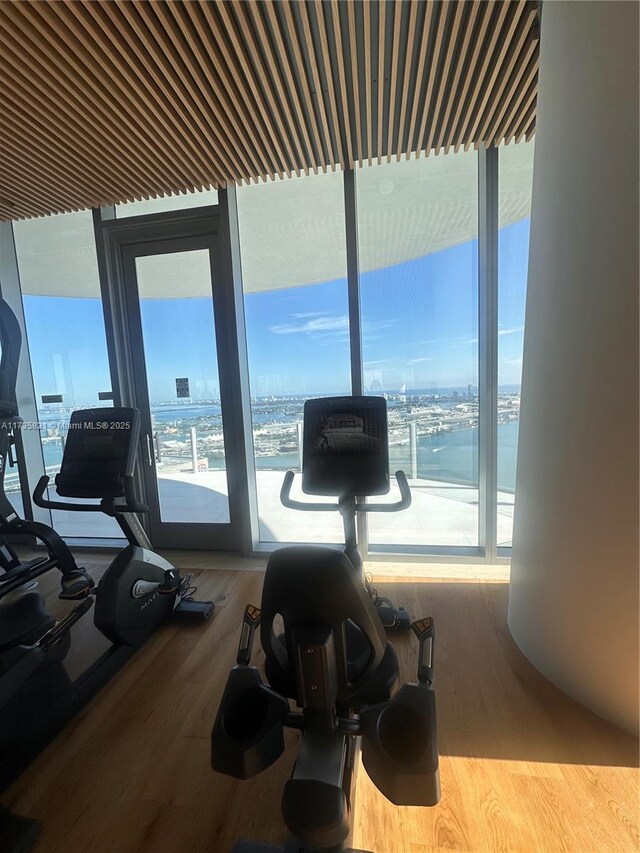 gym with hardwood / wood-style flooring, floor to ceiling windows, and a water view