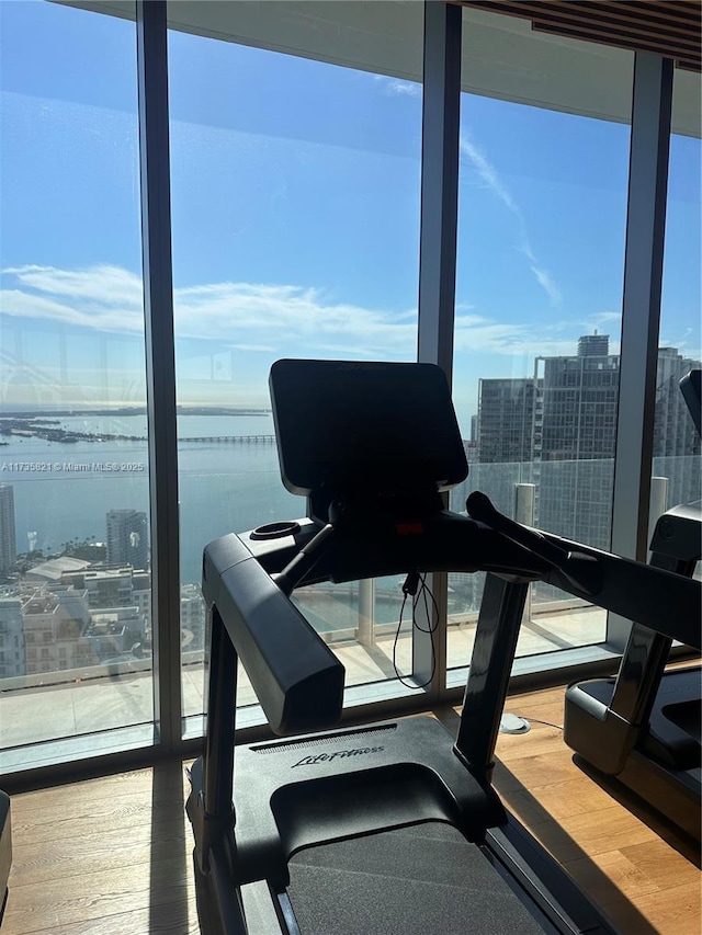 workout area with floor to ceiling windows, a water view, and wood-type flooring