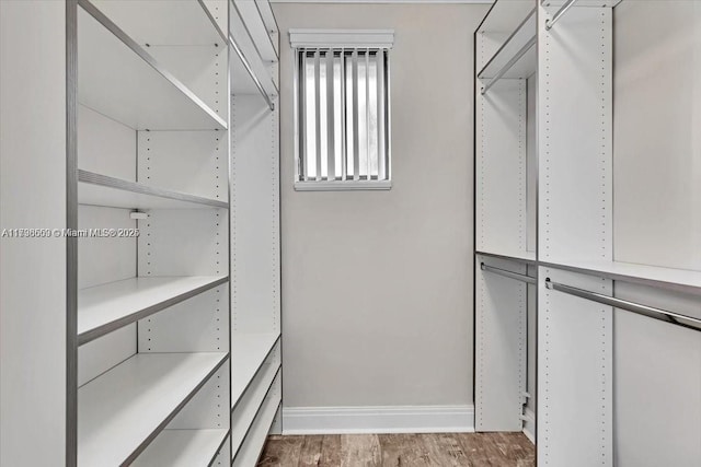 walk in closet featuring wood-type flooring