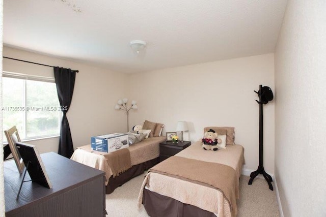 bedroom with light colored carpet