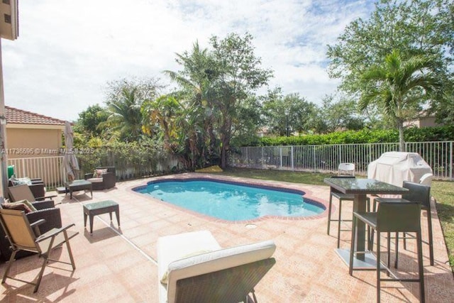 view of swimming pool featuring a patio