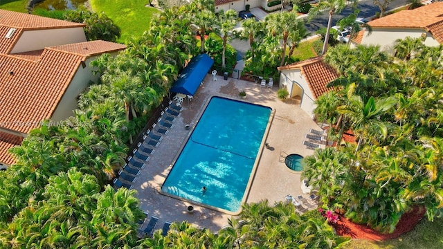 view of swimming pool featuring a patio area