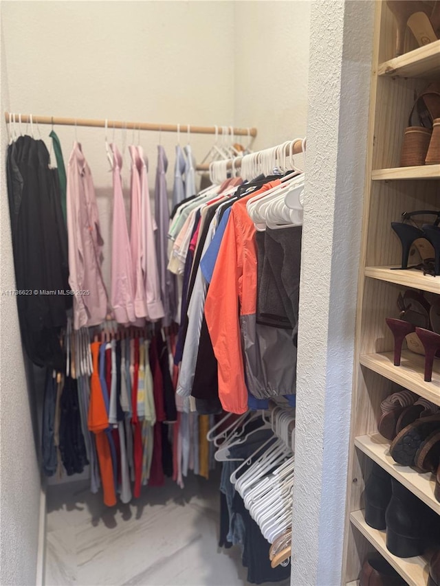 view of spacious closet