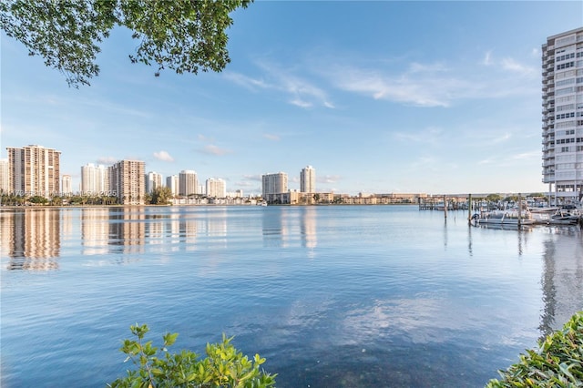 property view of water with a boat dock