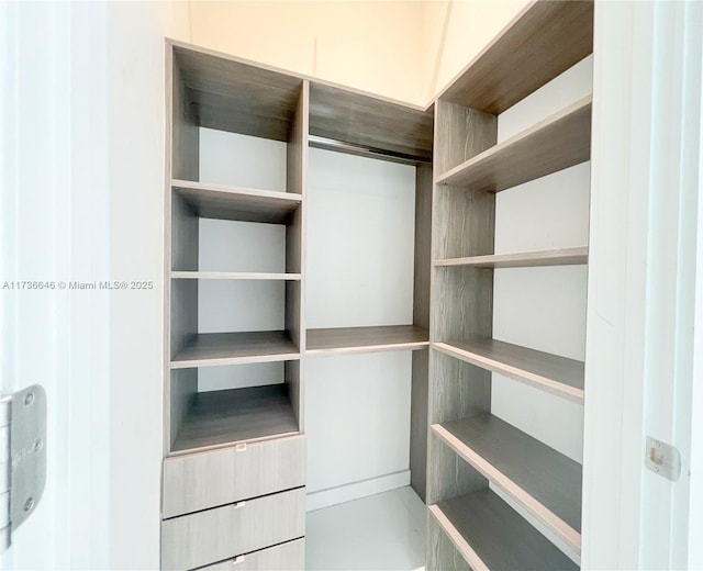 view of spacious closet