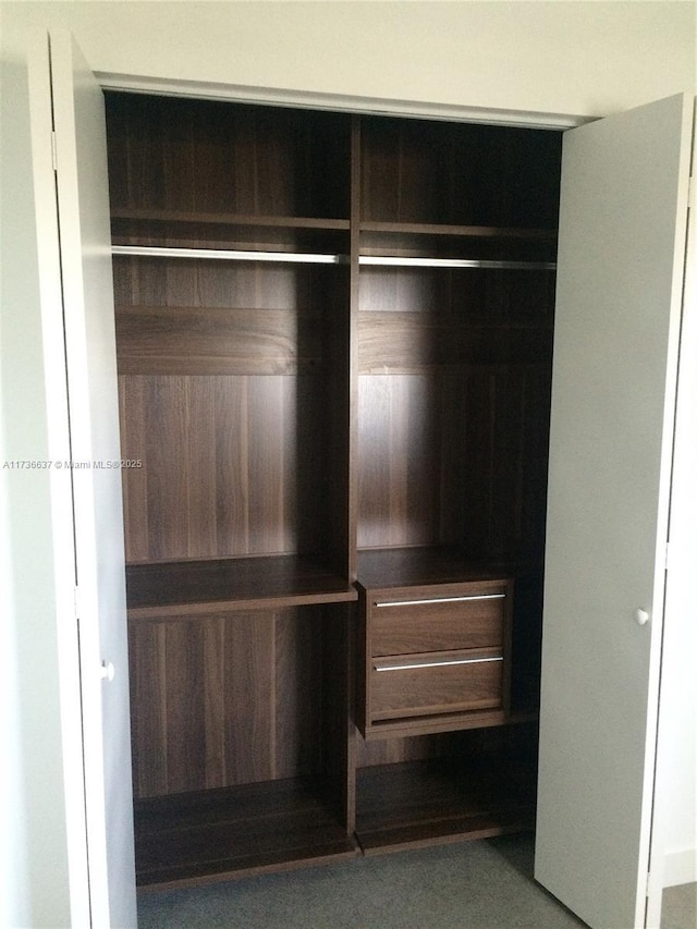 view of closet