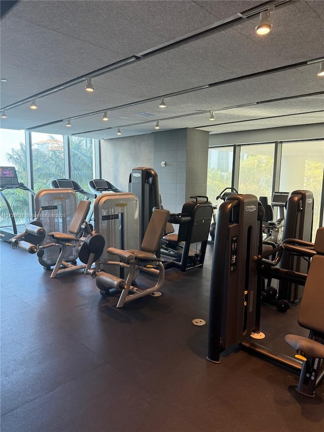 460 NE 28th St Unit 2503, Miami, FL 33137 - workout area with rail lighting, healthy amount of natural light, and a textured ceiling