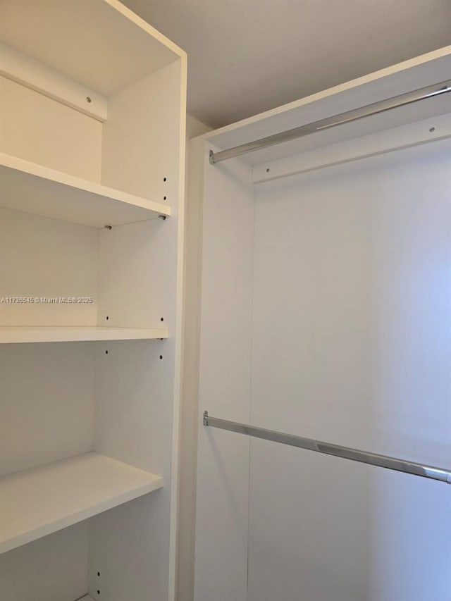 view of spacious closet