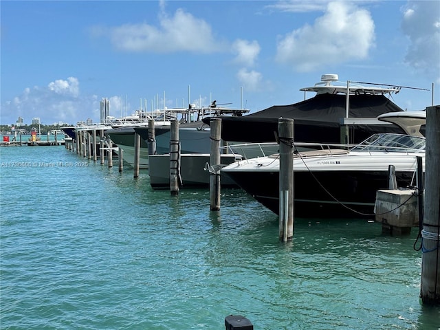 dock area with boat lift and a water view
