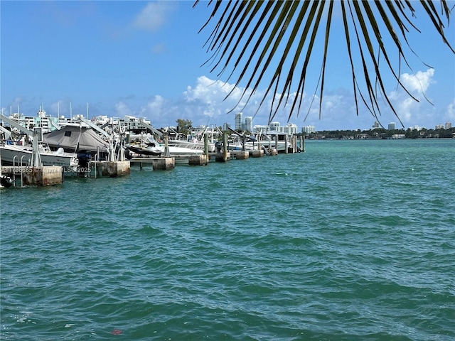view of water feature with a dock