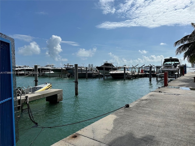 dock area with a water view