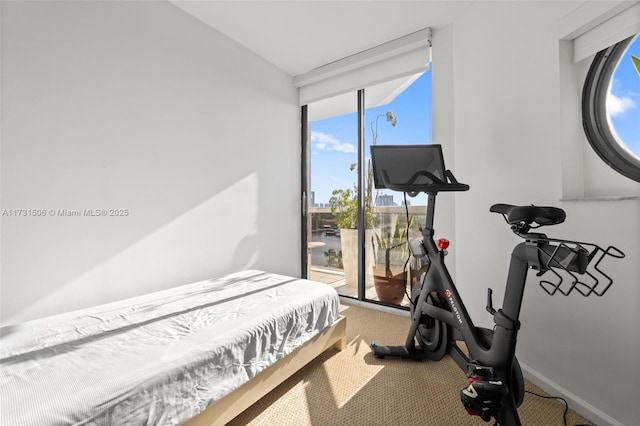 bedroom featuring expansive windows, carpet flooring, and access to outside