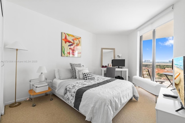 view of carpeted bedroom