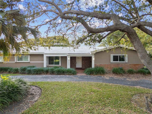 ranch-style house featuring a front yard