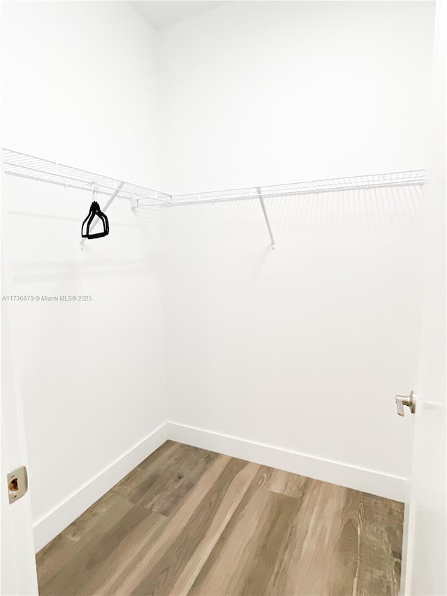 spacious closet featuring hardwood / wood-style flooring