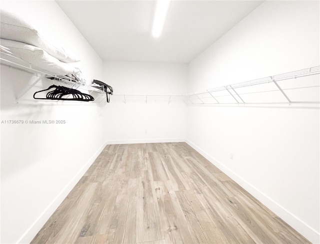 spacious closet featuring light hardwood / wood-style flooring