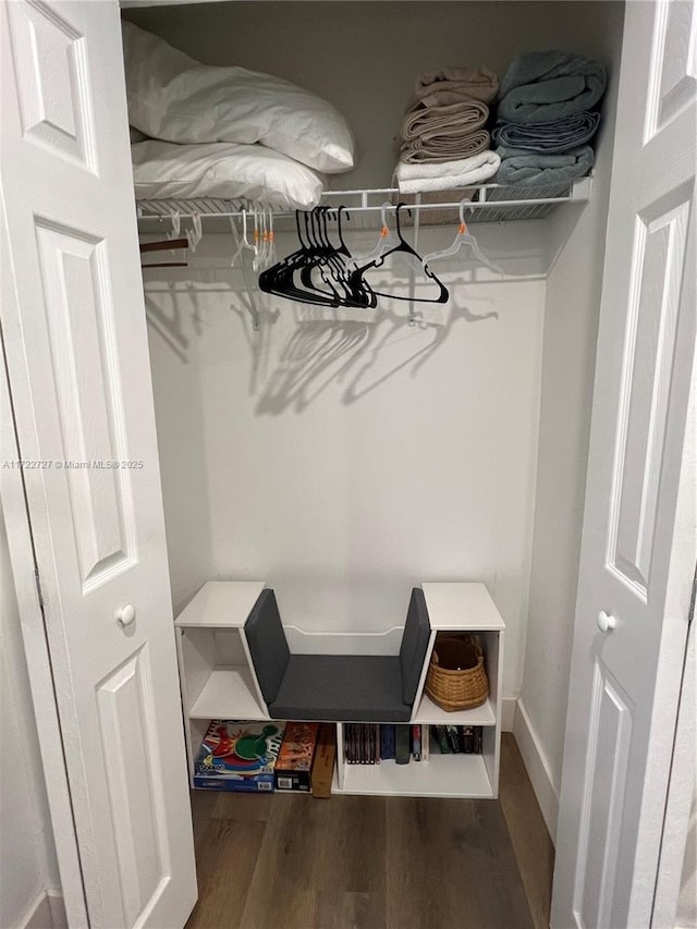 walk in closet featuring wood finished floors