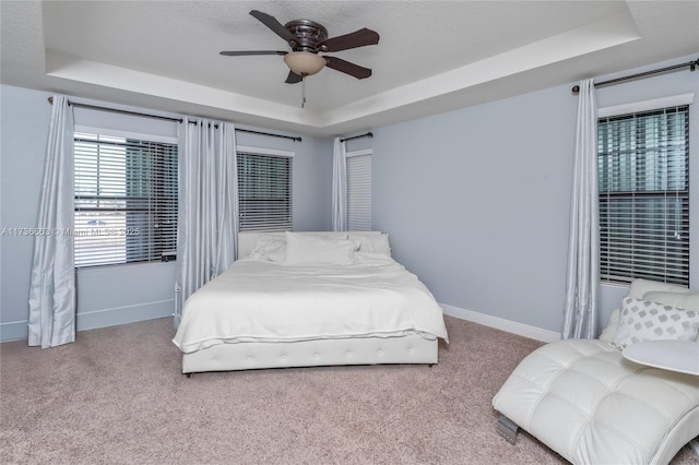 bedroom featuring light colored carpet and a raised ceiling