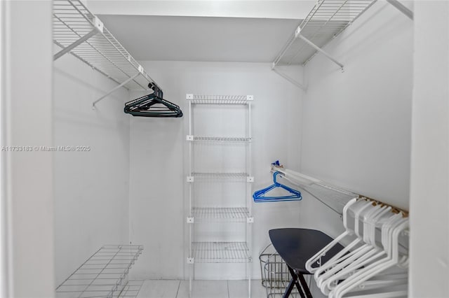 view of walk in closet