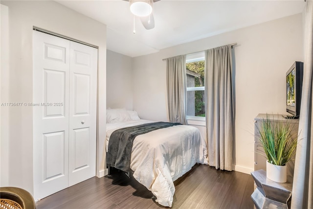 bedroom featuring dark hardwood / wood-style floors, ceiling fan, and a closet