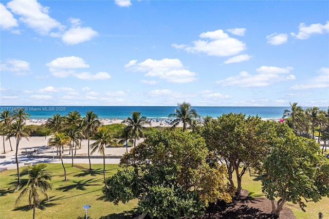 water view featuring a view of the beach