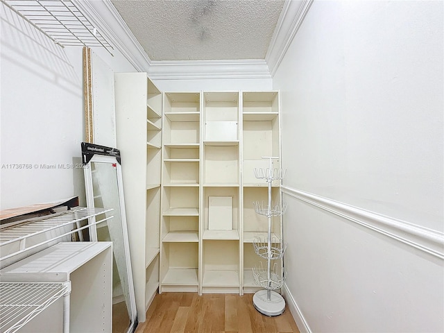 walk in closet with wood-type flooring