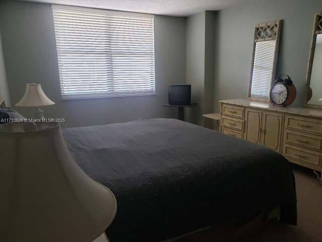 bedroom featuring a textured ceiling
