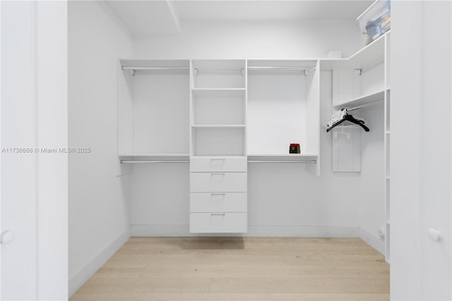 spacious closet with light hardwood / wood-style flooring