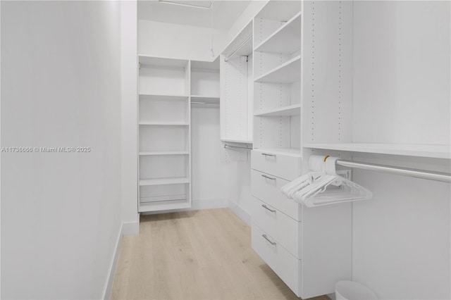 spacious closet featuring light hardwood / wood-style flooring