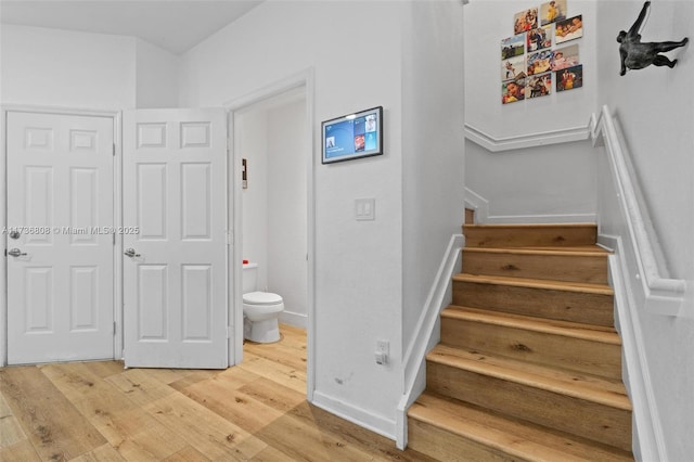 staircase featuring wood-type flooring