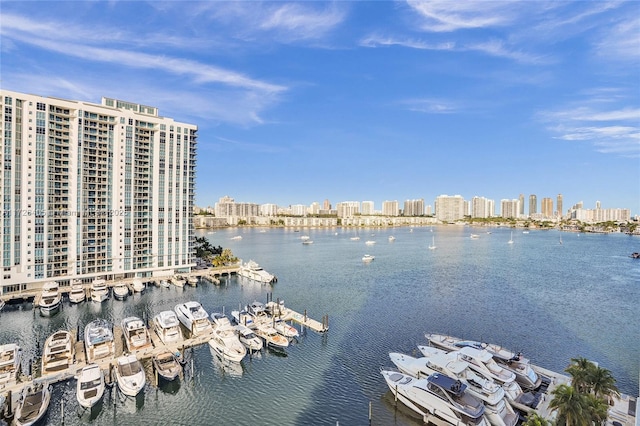 view of water feature featuring a boat dock