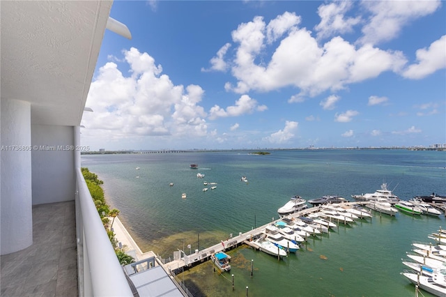 1717 N Bayshore Dr Unit A-1231, Miami, FL 33132 - water view featuring numerous boat docks
