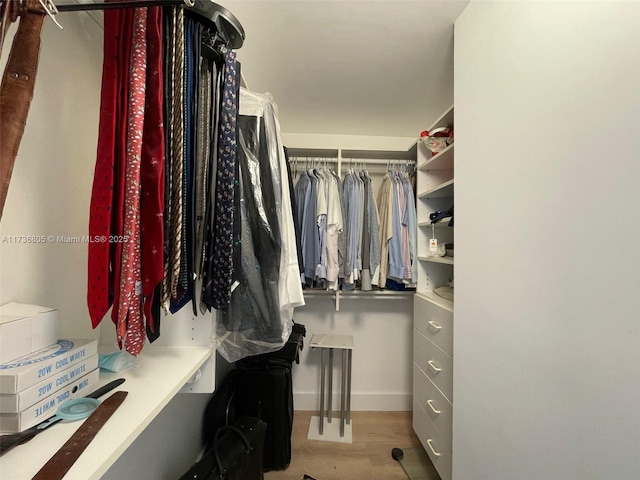 view of spacious closet