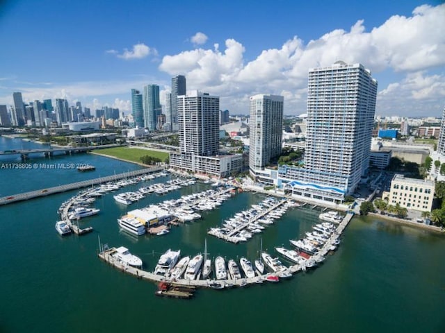 aerial view featuring a city view and a water view