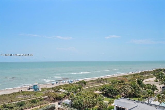 property view of water featuring a beach view