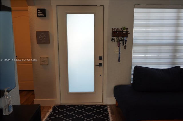 foyer with dark wood-style floors