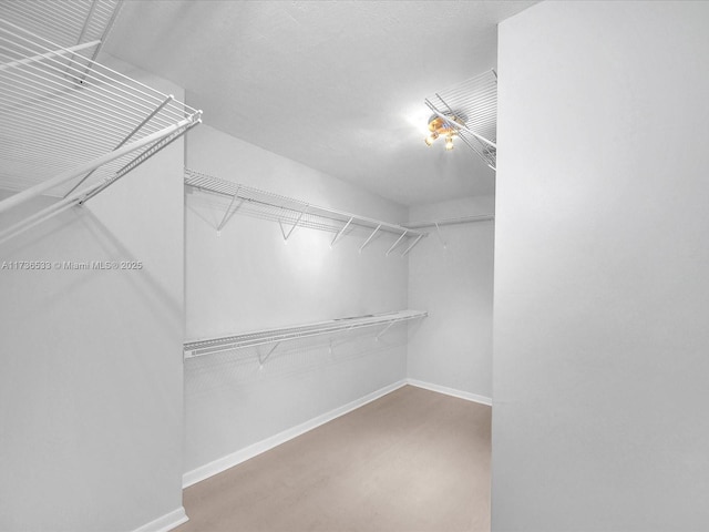 view of spacious closet