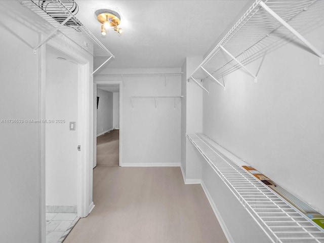 walk in closet with light hardwood / wood-style flooring